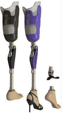 Above-Knee Prosthesis